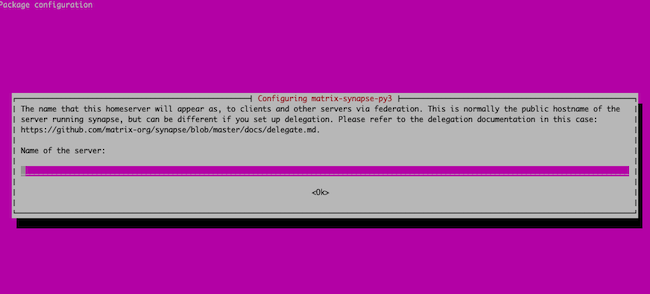 Matrix domain name prompt Matrix domain name prompt